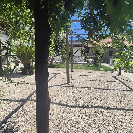 Πανσιόν Silvana's House